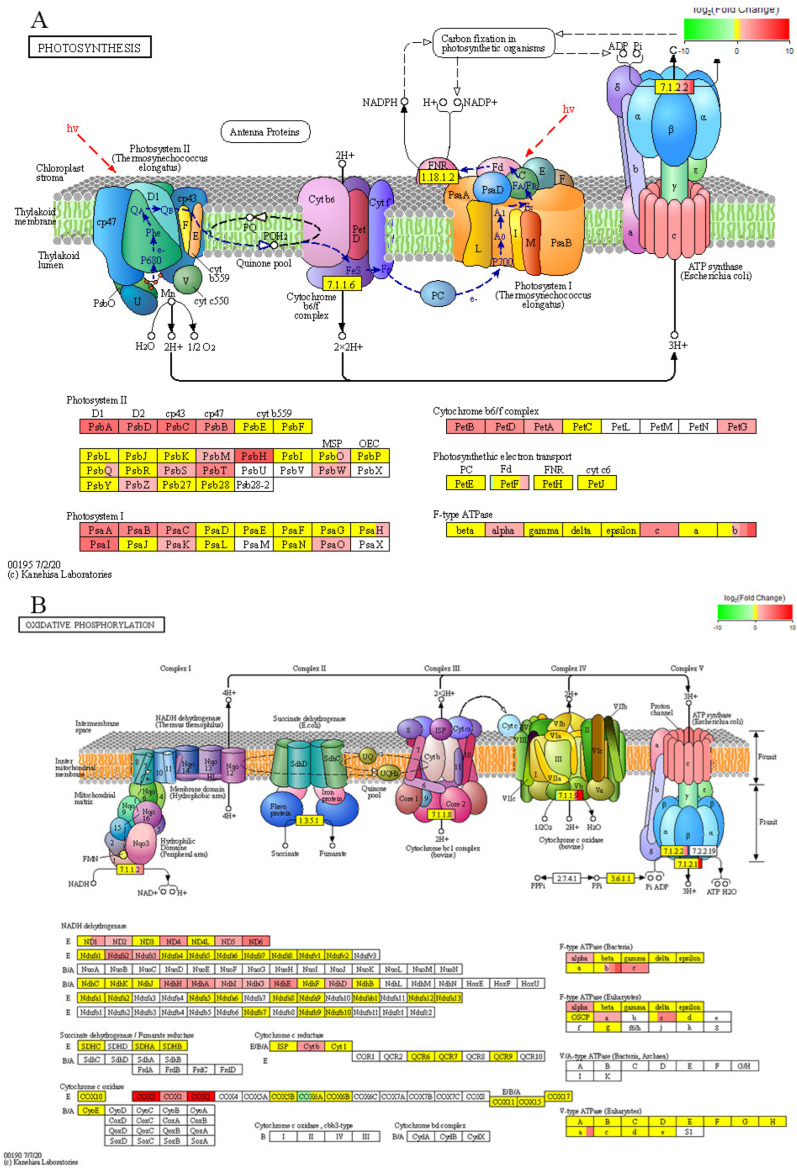 Figure 15