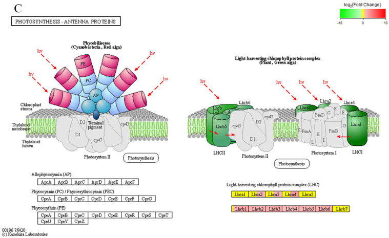 Figure 16