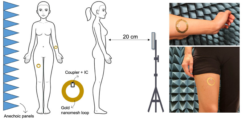 Figure 12
