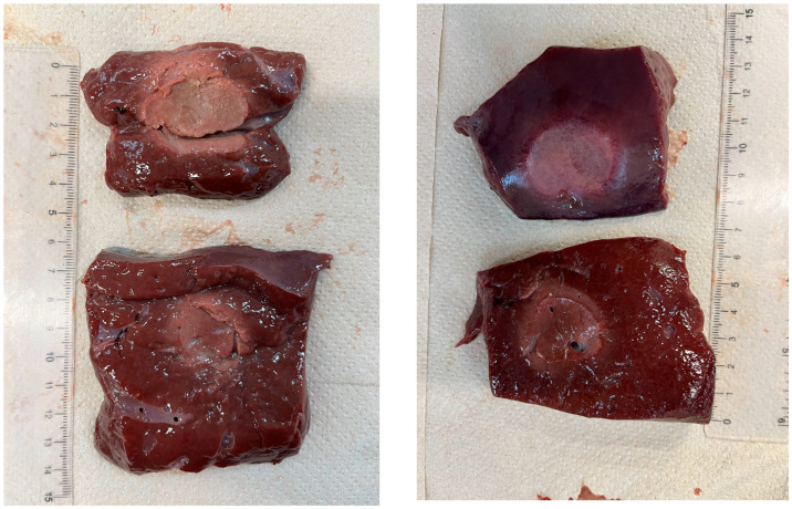 Figure 13