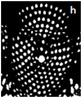 Figure 23