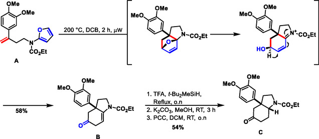 SCHEME 1