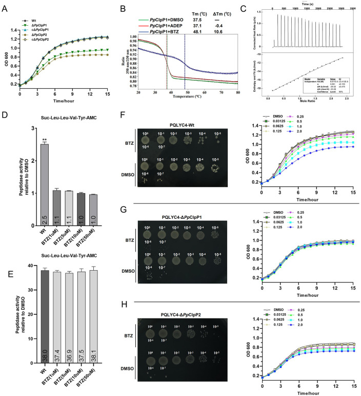 Fig 6