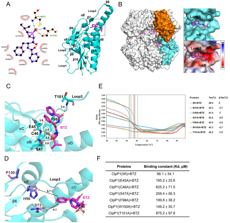 Fig 7
