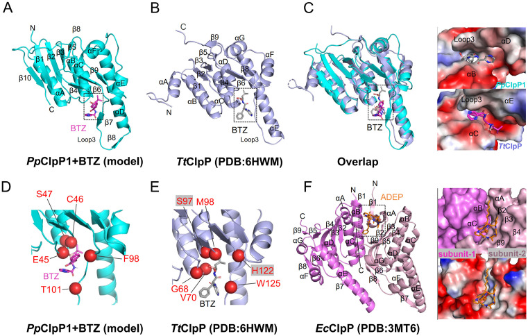 Fig 8