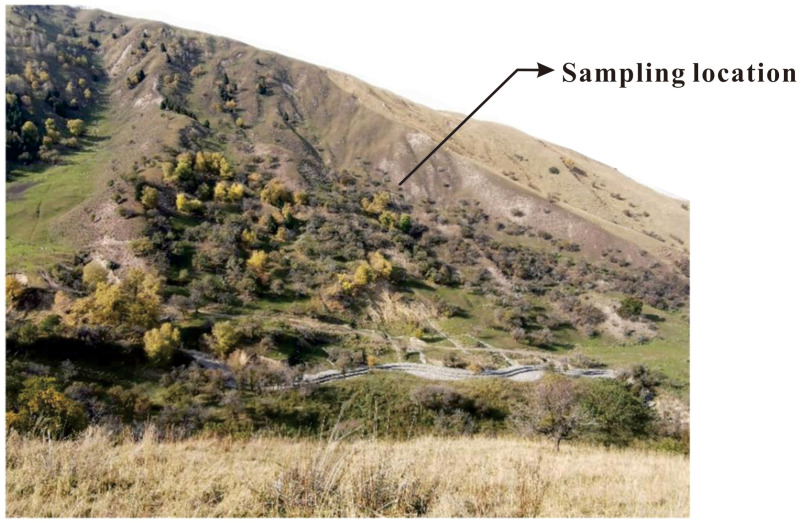 Fig 1