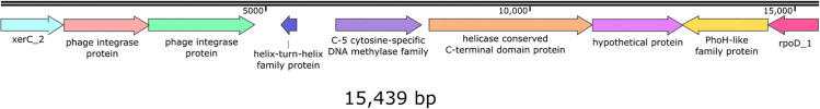 Fig 5