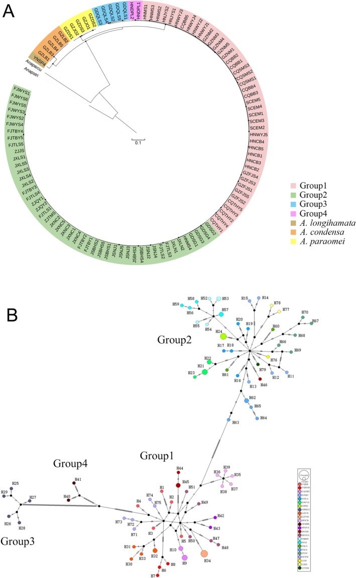 FIGURE 2