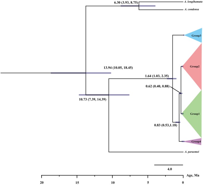 FIGURE 3