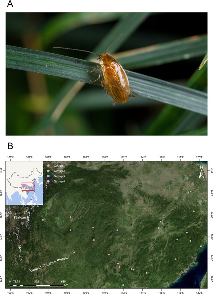 FIGURE 1