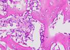 Figure 27