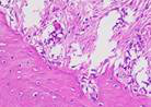Figure 30