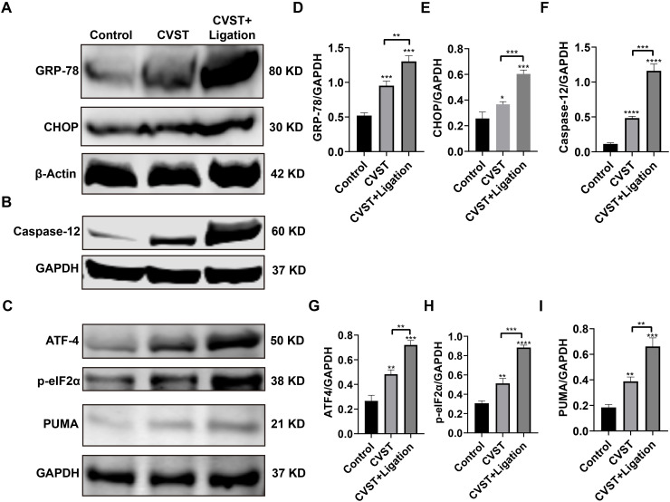 Figure 6