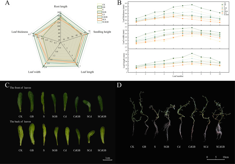 Figure 2