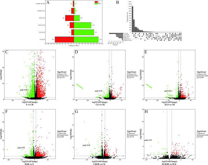 Figure 6