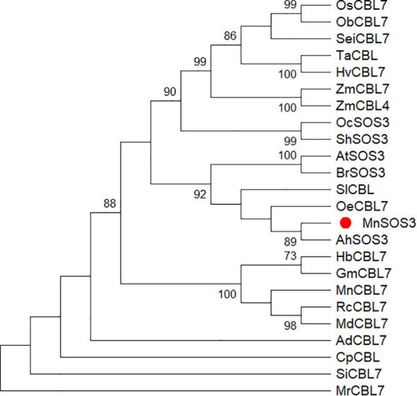 Figure 2