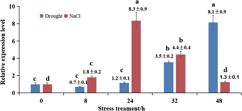 Figure 3