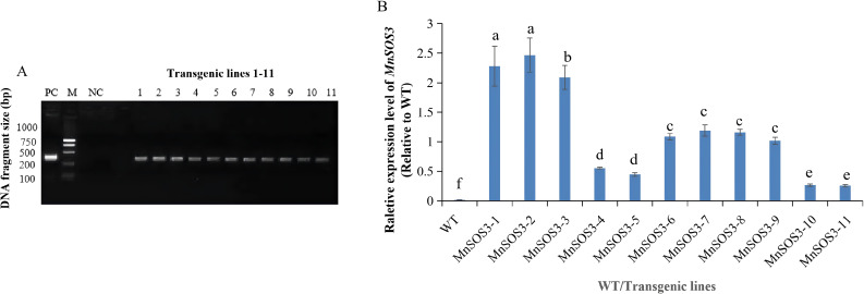 Figure 6