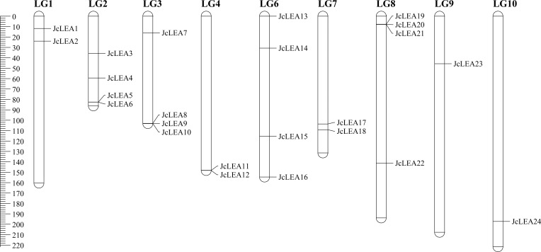 Figure 4