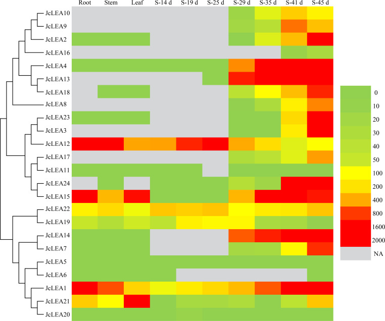 Figure 7