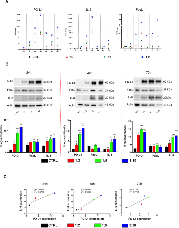Figure 3