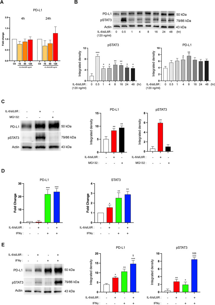 Figure 6