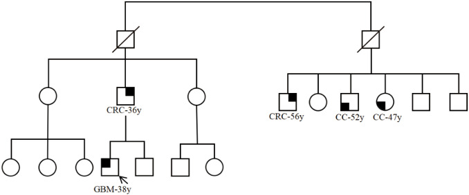Figure 4