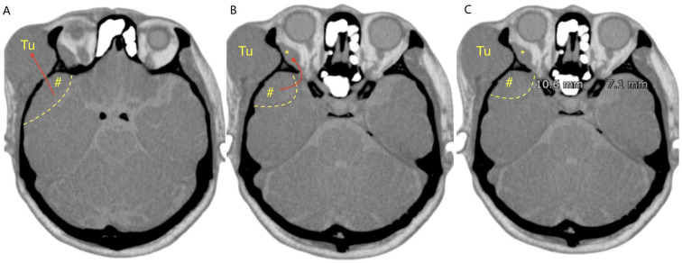 Figure 3