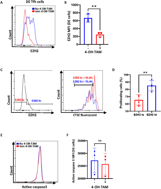 Figure 4