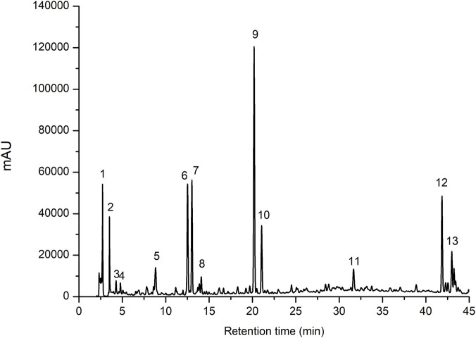 FIGURE 1