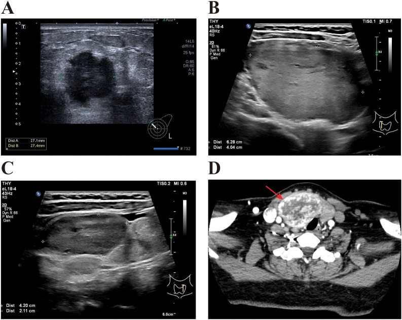 Figure 1