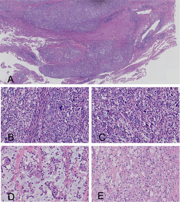 Figure 1