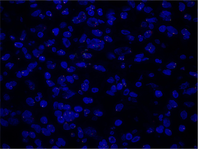 Figure 3