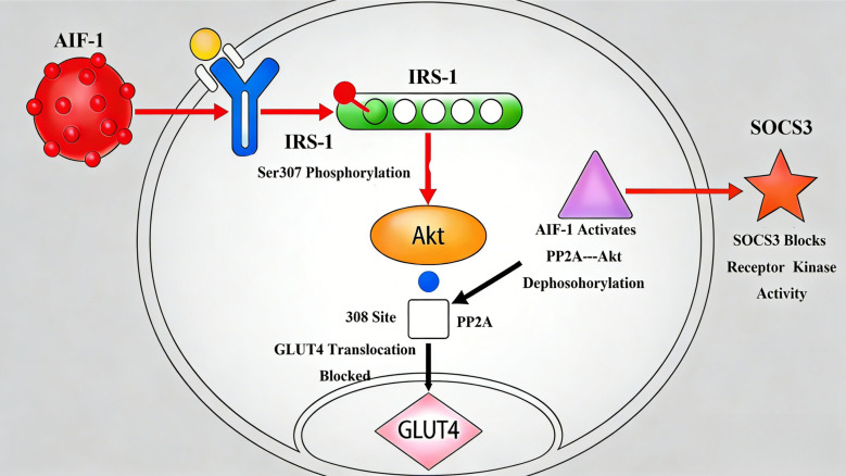 Figure 4