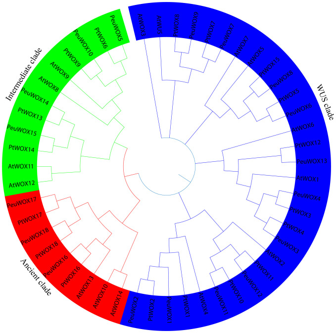 Figure 1