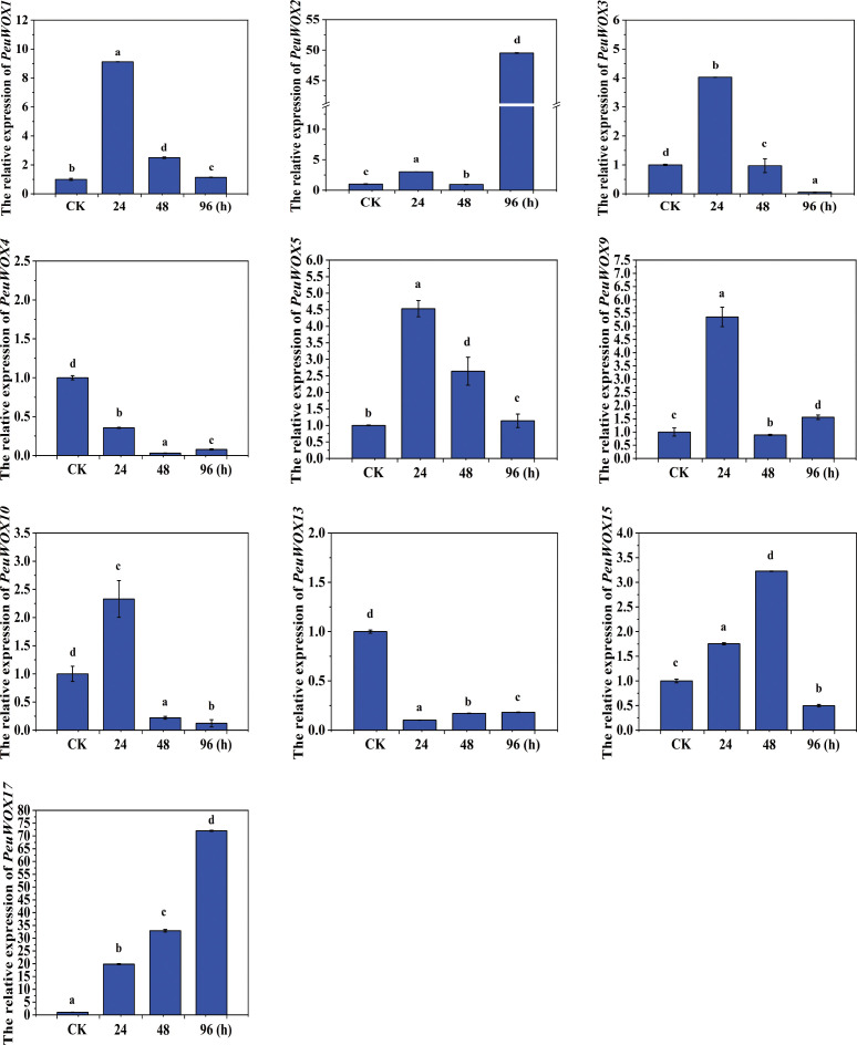 Figure 6