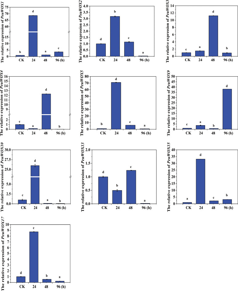 Figure 7
