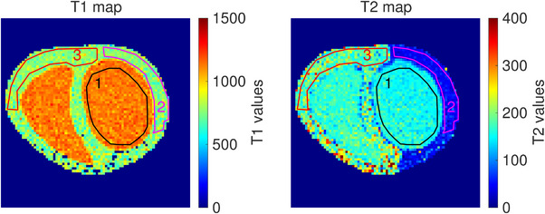 FIGURE 4