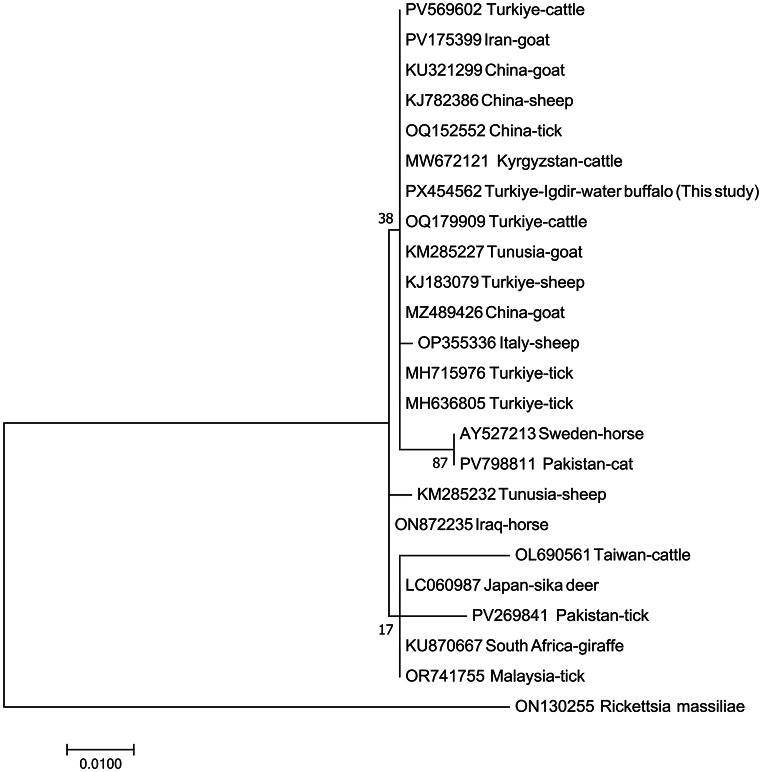 Figure 2