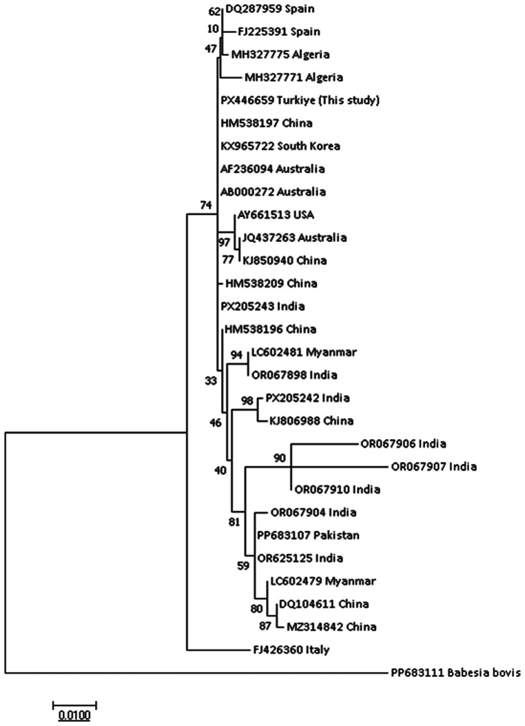 Figure 5