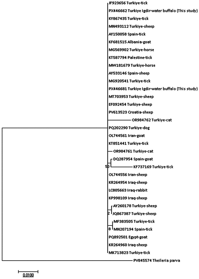 Figure 7