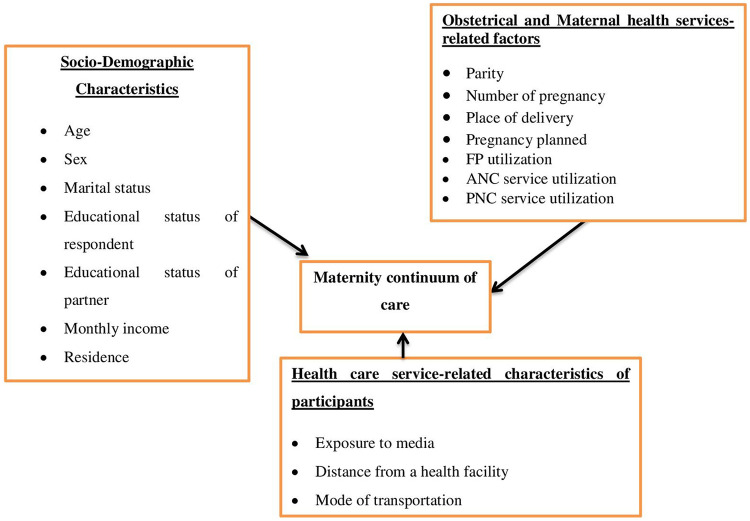 Figure 1