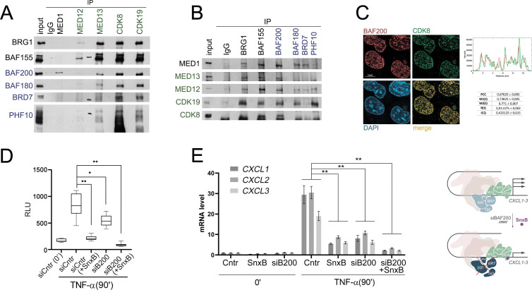 Figure 3