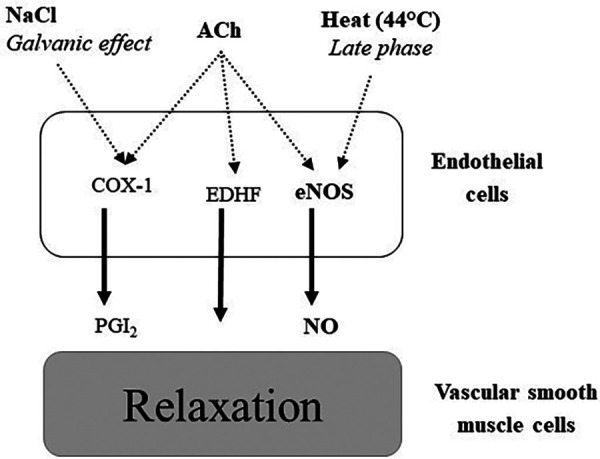 Figure 2