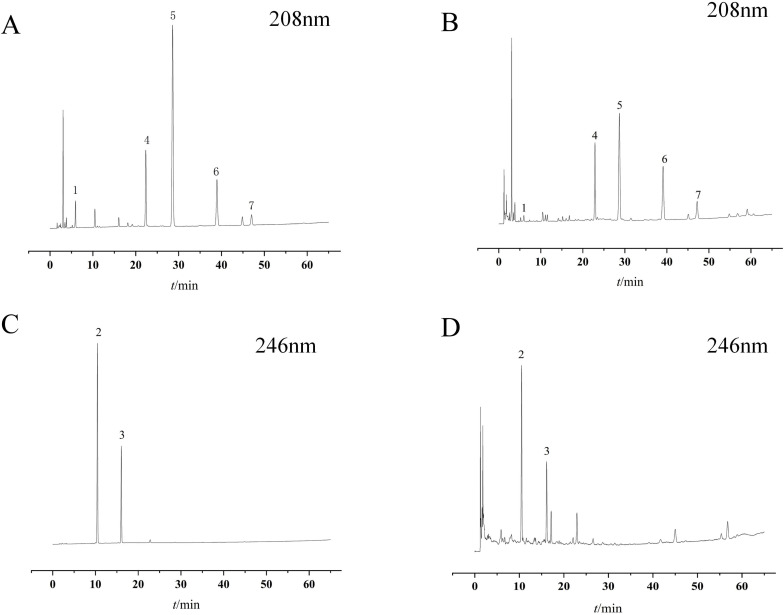 Figure 3