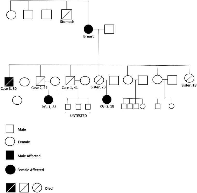 Figure 3