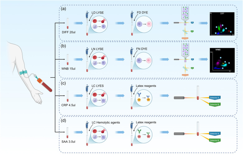 Figure 2