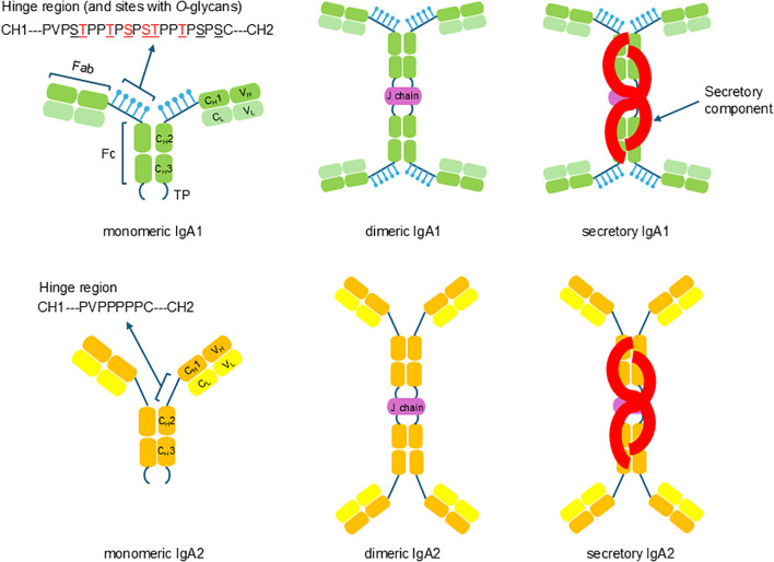Figure 1