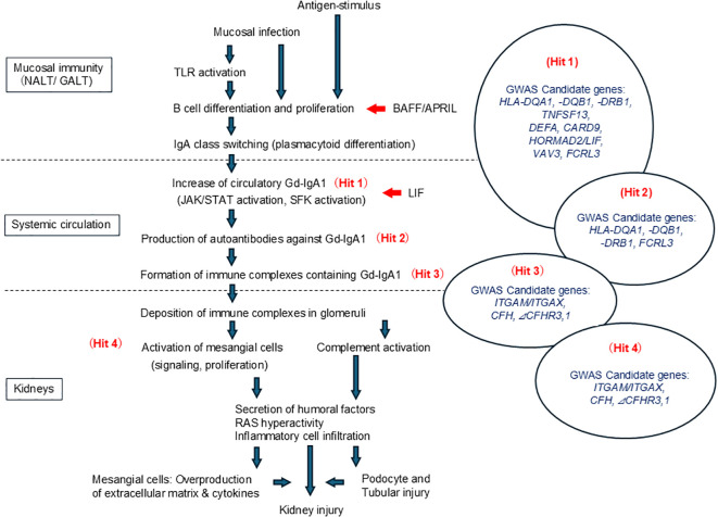 Figure 3
