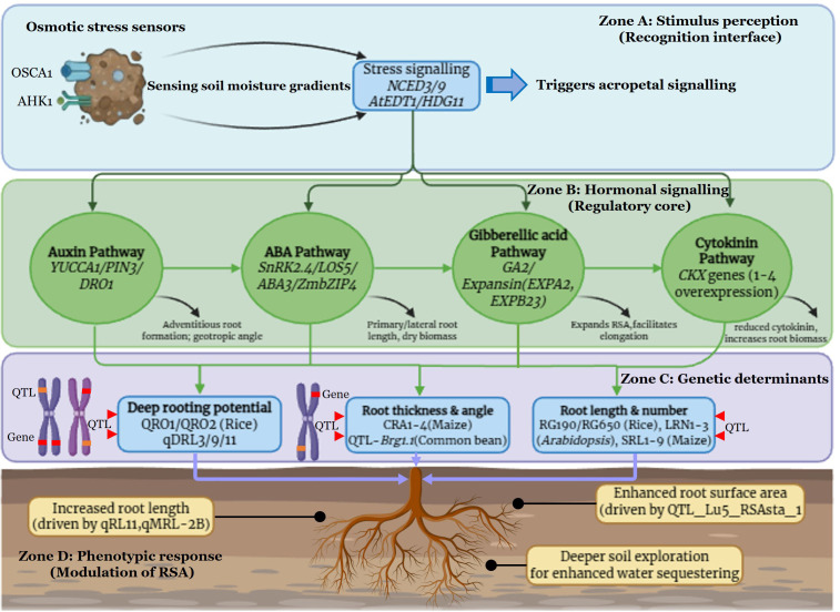 Figure 4